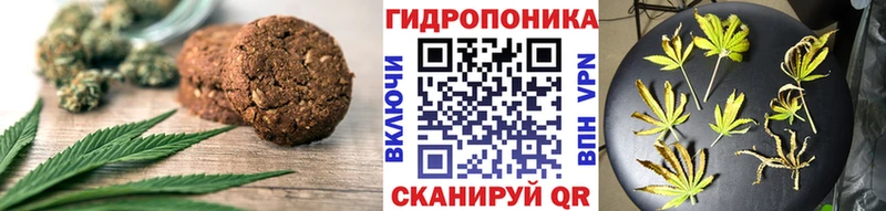 Cannafood конопля  Шагонар 