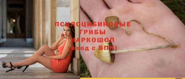 спайс Балахна