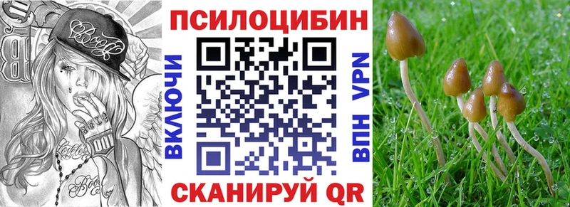 наркота  Шагонар  Псилоцибиновые грибы Magic Shrooms 